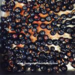 Organic Fresh Blueberries for GF Clafoutis